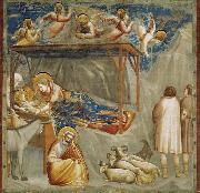 GIOTTO di Bondone Birth of Jesus oil